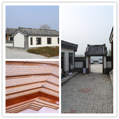 IMG_9512_副本.png