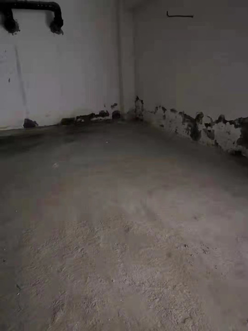 微信图片_20210910085406_副本.jpg